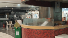 <strong>年内到期欠债高达</strong>