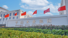 中国板材品牌排名：年度十强品牌核心竞争力数